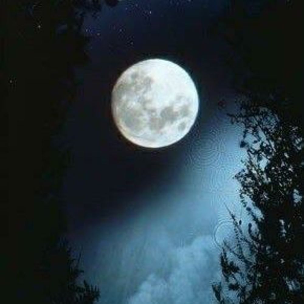 Meet your Posher, Carol